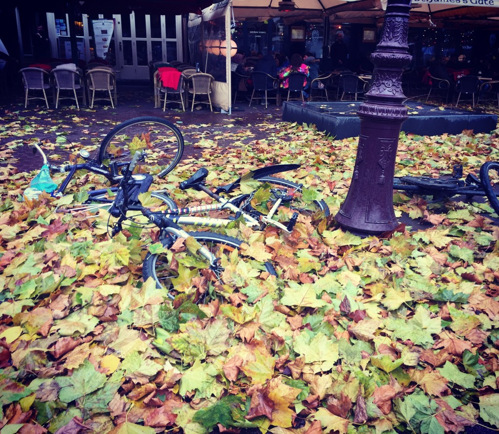 de fietsen redder